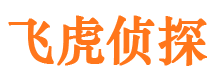 陕县市侦探调查公司